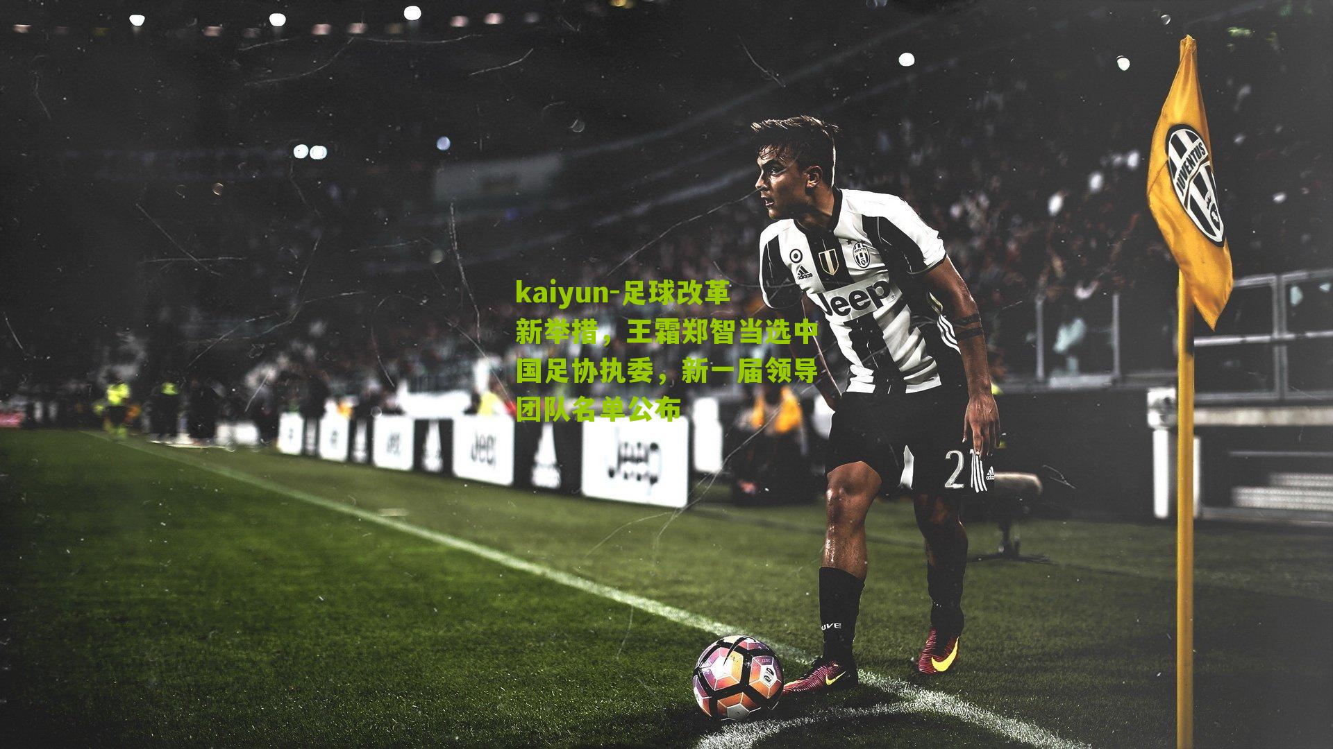 足球改革新举措，王霜郑智当选中国足协执委，新一届领导团队名单公布